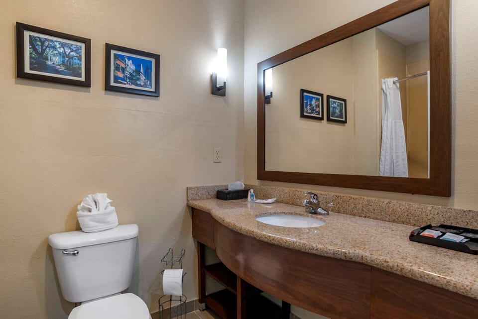 Combined shower/tub, free toiletries, hair dryer, towels
