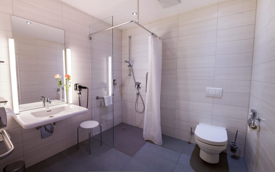 Shower, free toiletries, hair dryer, towels