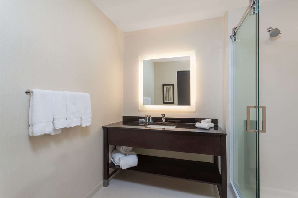 Shower, free toiletries, hair dryer, towels