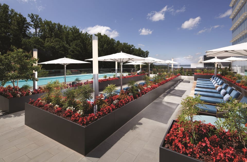 Seasonal outdoor pool, open 10:00 AM to 8:00 PM, pool umbrellas
