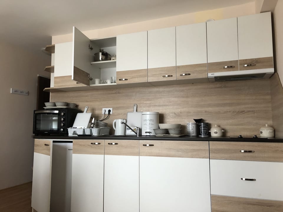 Exclusive Apartment, 1 Bedroom, Partial Sea View | Private kitchen | Fridge, microwave, stovetop, electric kettle