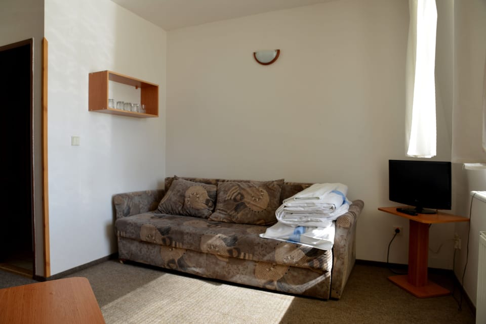 Flat-screen TV