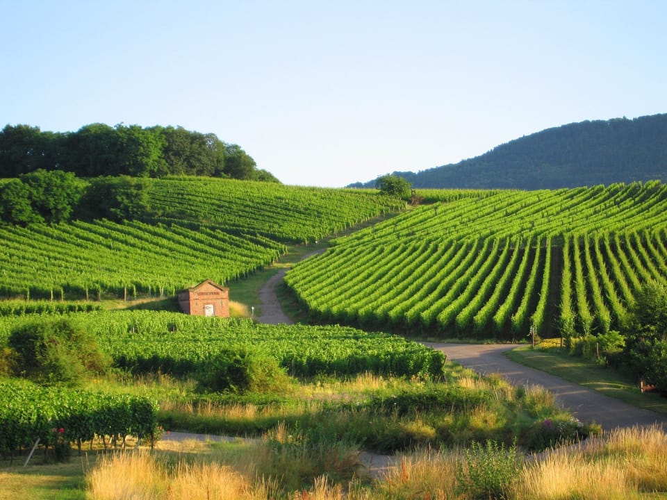 Surroundings [summer] (1-5 km)
