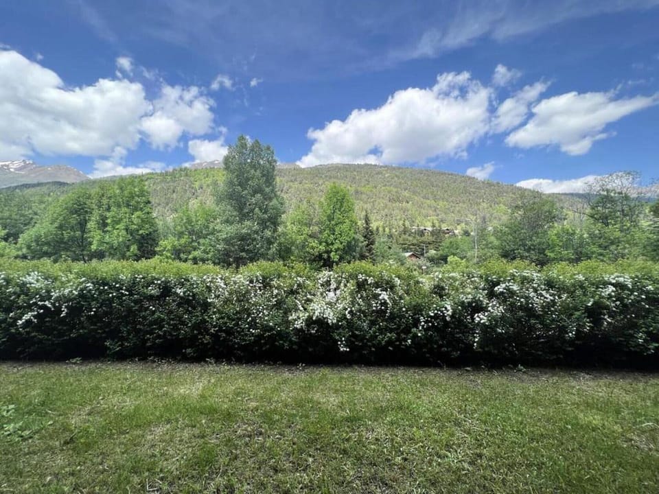 Region [summer] (>5 km)