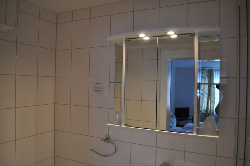 Standard Twin Room without extra bed | Bathroom | Shower, eco-friendly toiletries, towels