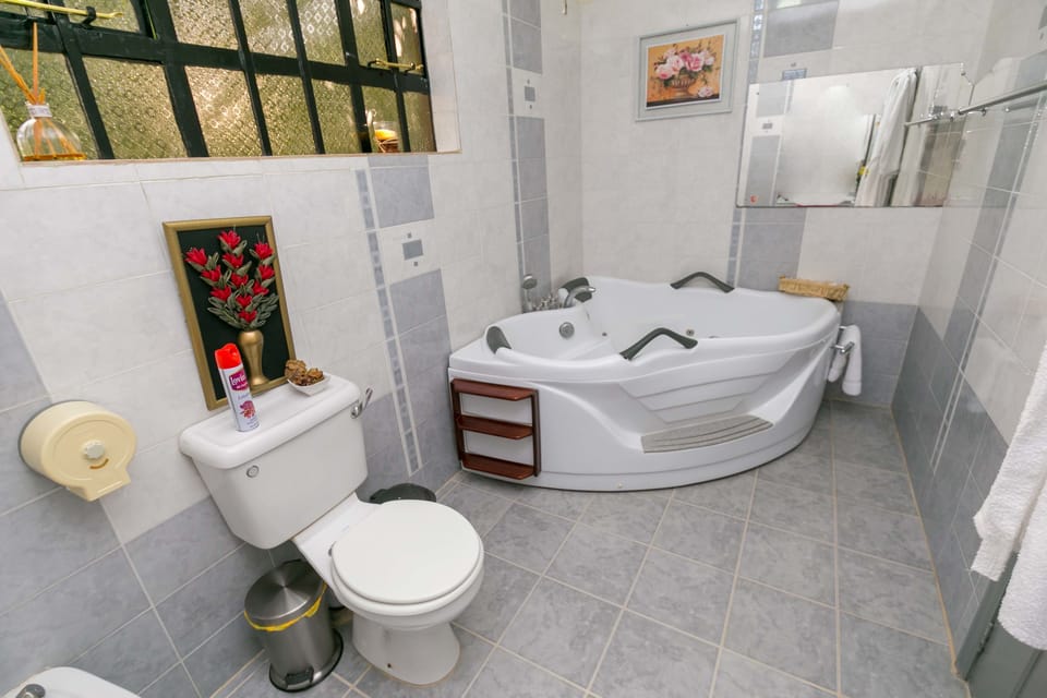 Deluxe Double Room | Bathroom | Free toiletries, hair dryer (on request), slippers, towels