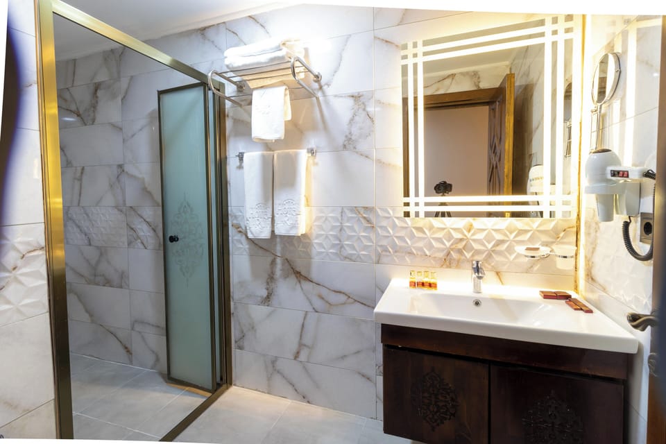 Shower, hair dryer, towels