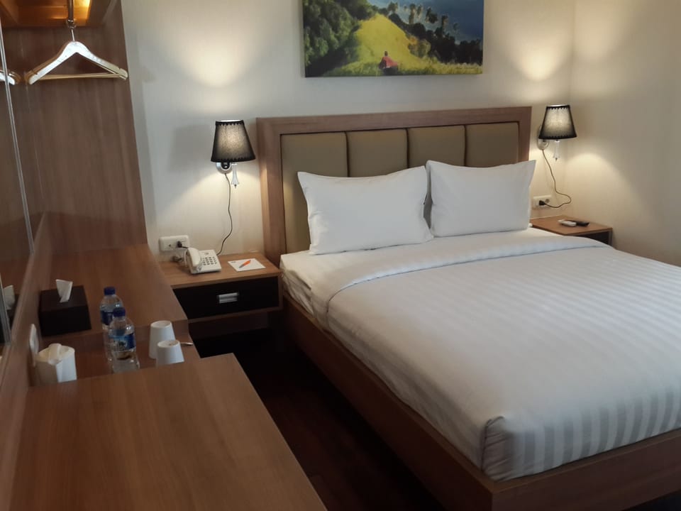 Exclusive Room | Desk, blackout drapes, WiFi (free)