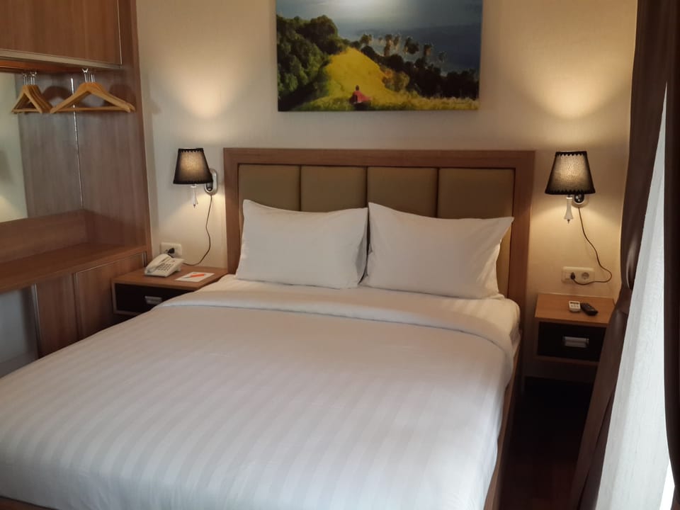 Exclusive Room | Desk, blackout drapes, WiFi (free)