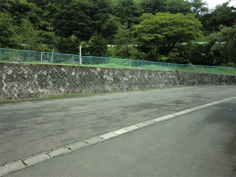 Free self parking