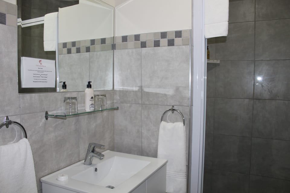 Standard Room | Bathroom | Hair dryer, towels, soap, shampoo