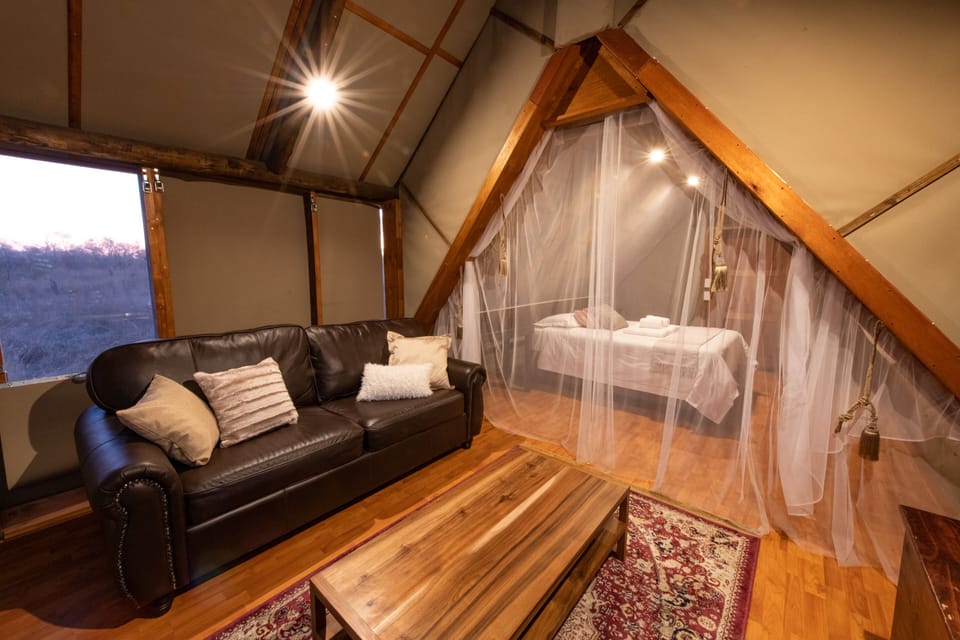 Safari Tent  | Living area