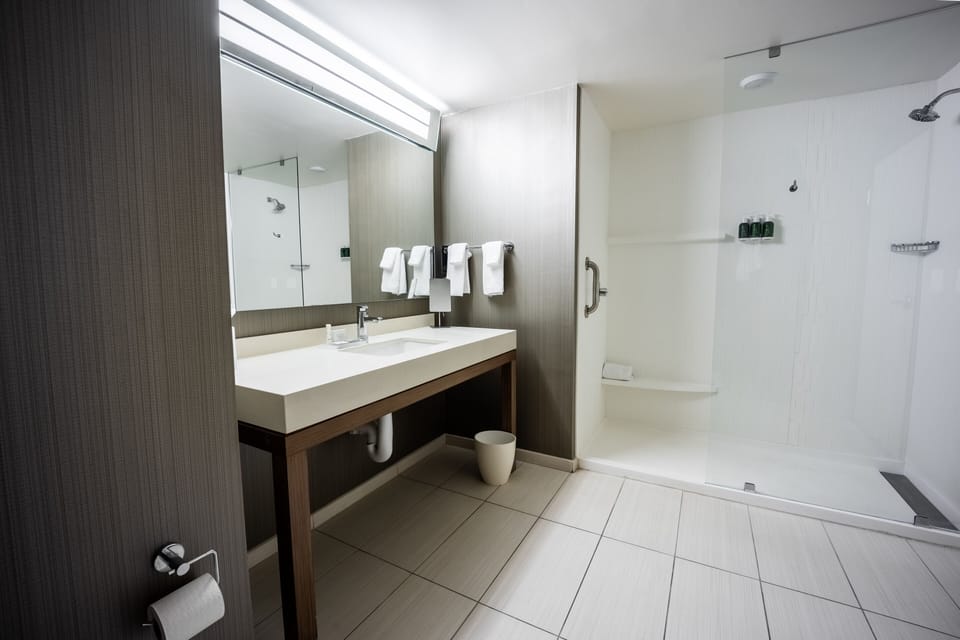 Hair dryer, towels, soap, shampoo