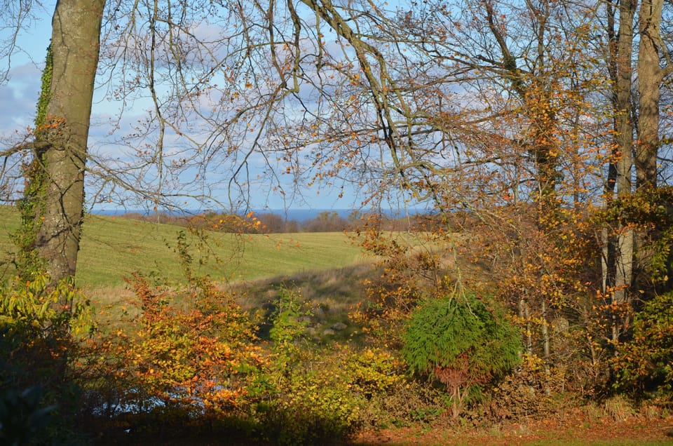 Exclusive House, Park View | View from property