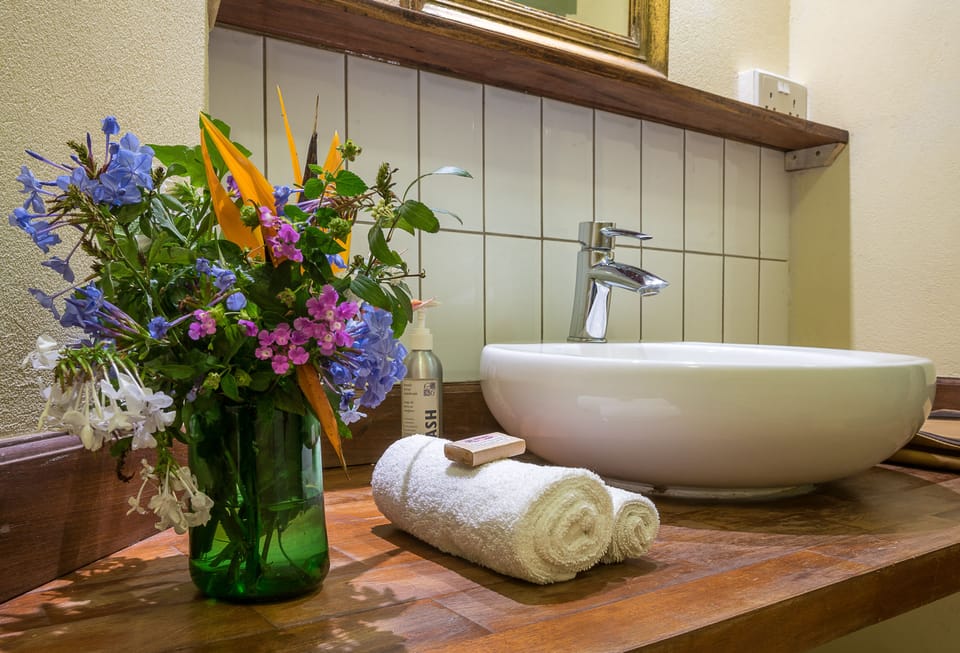 Free toiletries, hair dryer, bathrobes, towels
