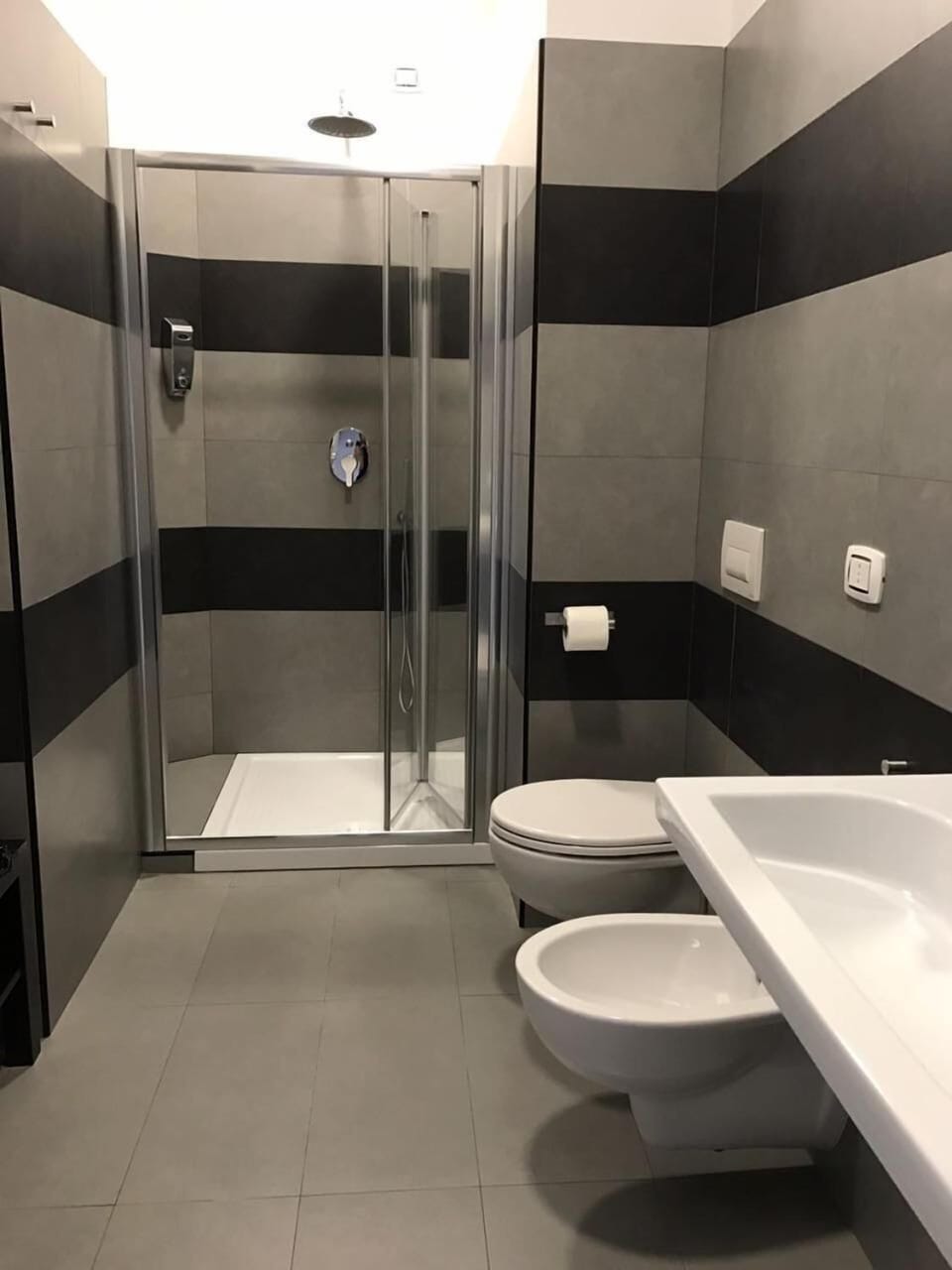 Shower, free toiletries, hair dryer, bidet