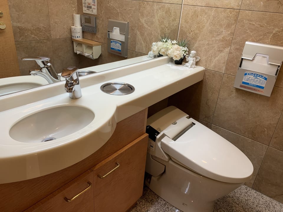Combined shower/tub, slippers, electronic bidet, towels