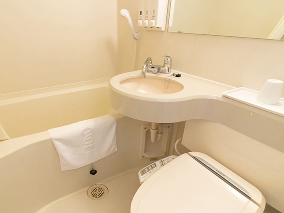 Combined shower/tub, slippers, bidet, towels