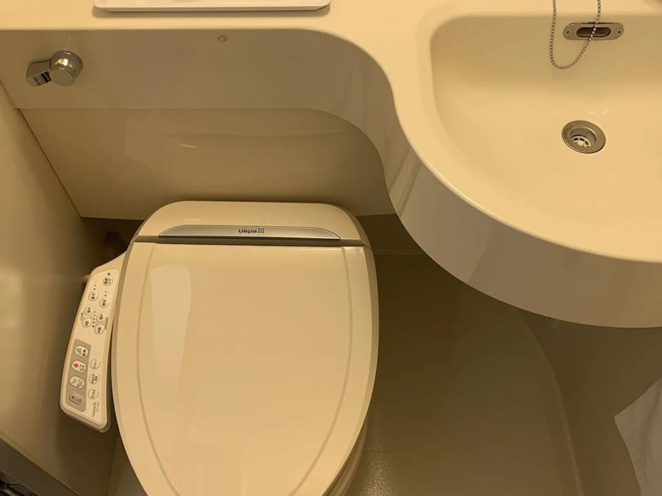 Combined shower/tub, slippers, electronic bidet, towels