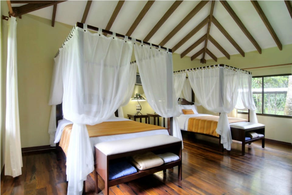 Deluxe Room, 2 Queen Beds | View from room