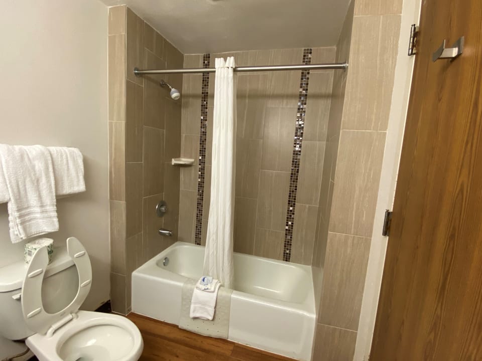 Deluxe Double Room | Bathroom | Combined shower/tub, free toiletries, hair dryer, towels