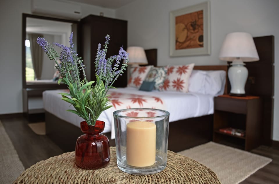 Deluxe Double room with Panoramic Mountain View | Minibar, in-room safe, individually decorated, individually furnished