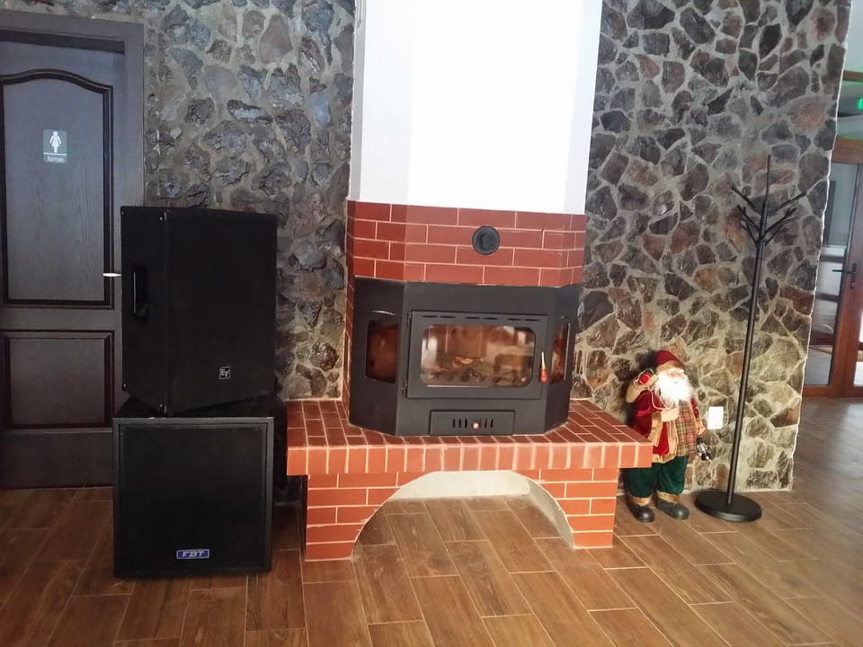 Pensiunea Casiana Bed and Breakfast in Romania