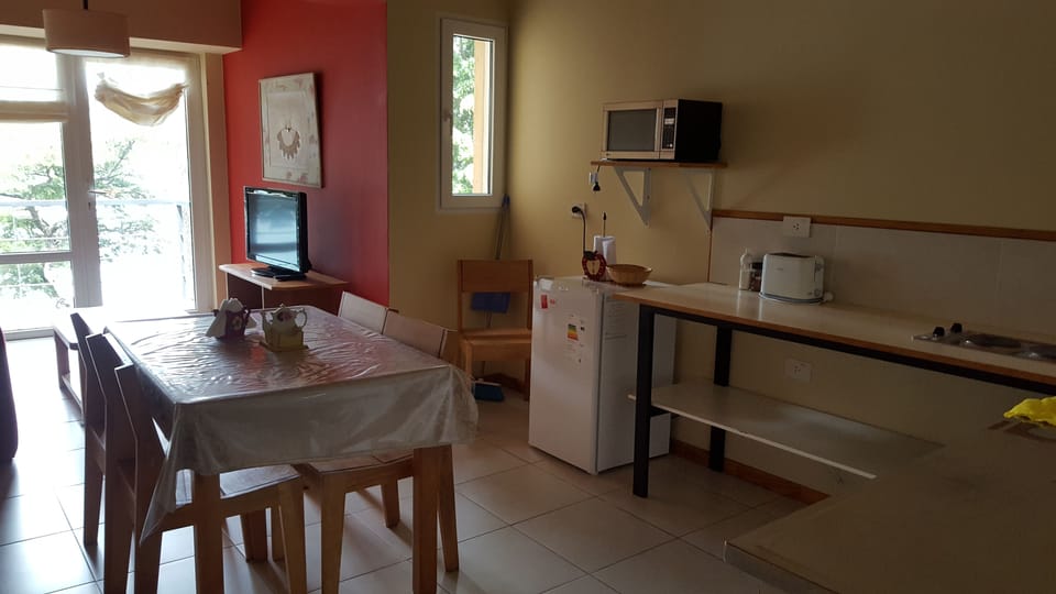 Apartment, 2 Bedrooms, Balcony, Lake View | Private kitchenette | Full-size fridge, microwave, stovetop, coffee/tea maker