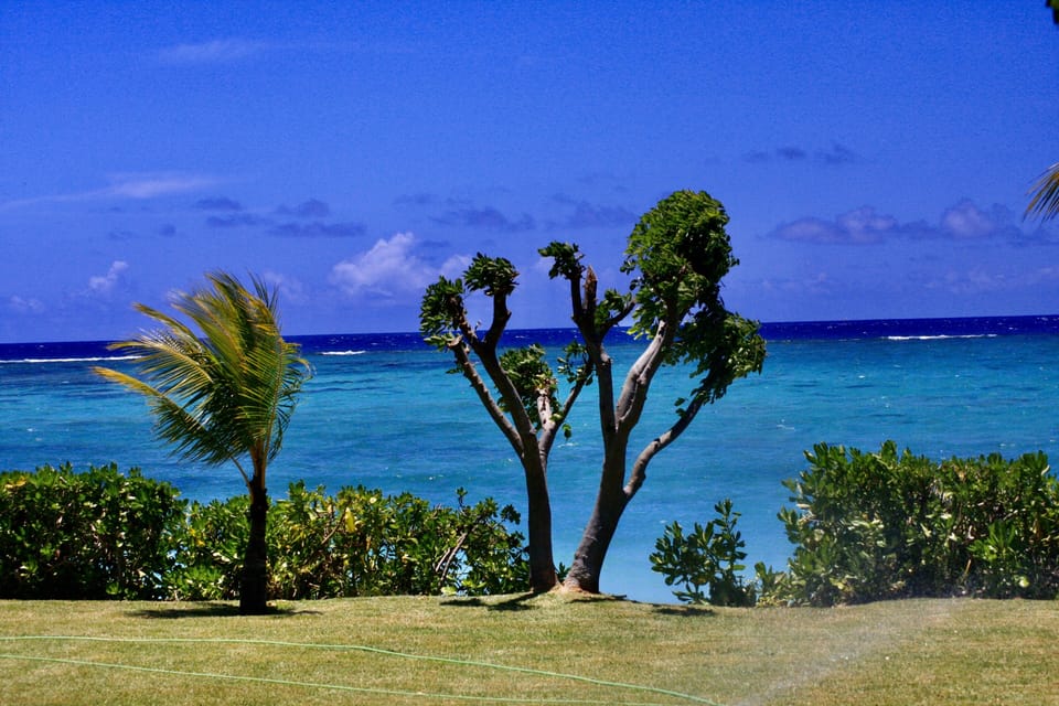 Beach/ocean view