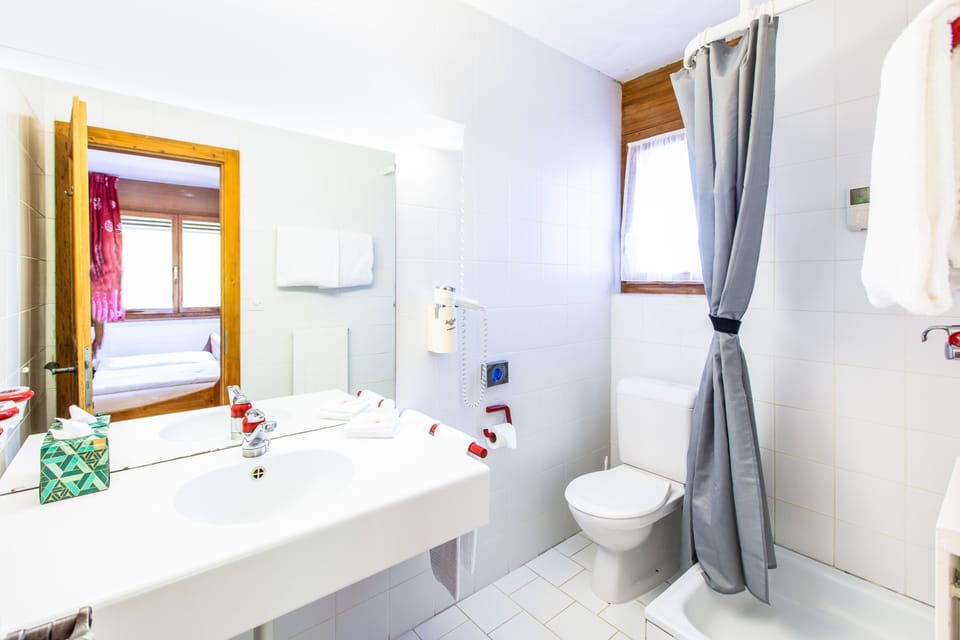 Double Room, Mountain View | Bathroom | Shower, free toiletries, hair dryer, towels