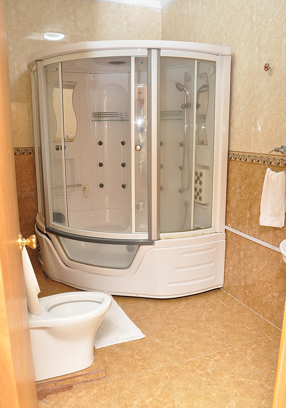 Royal Executive Suite | Bathroom shower