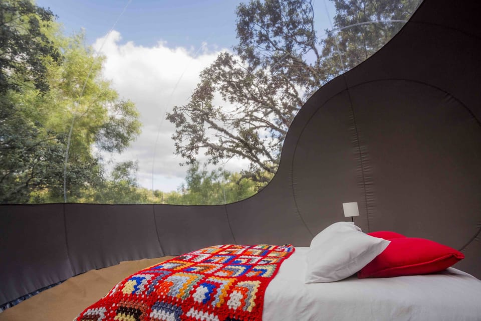 Tent (Bolha do Maneio) | Minibar, individually decorated, bed sheets