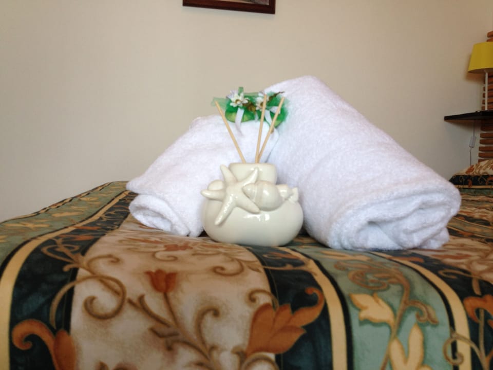 Double Room, Patio, Annex Building | Room amenity