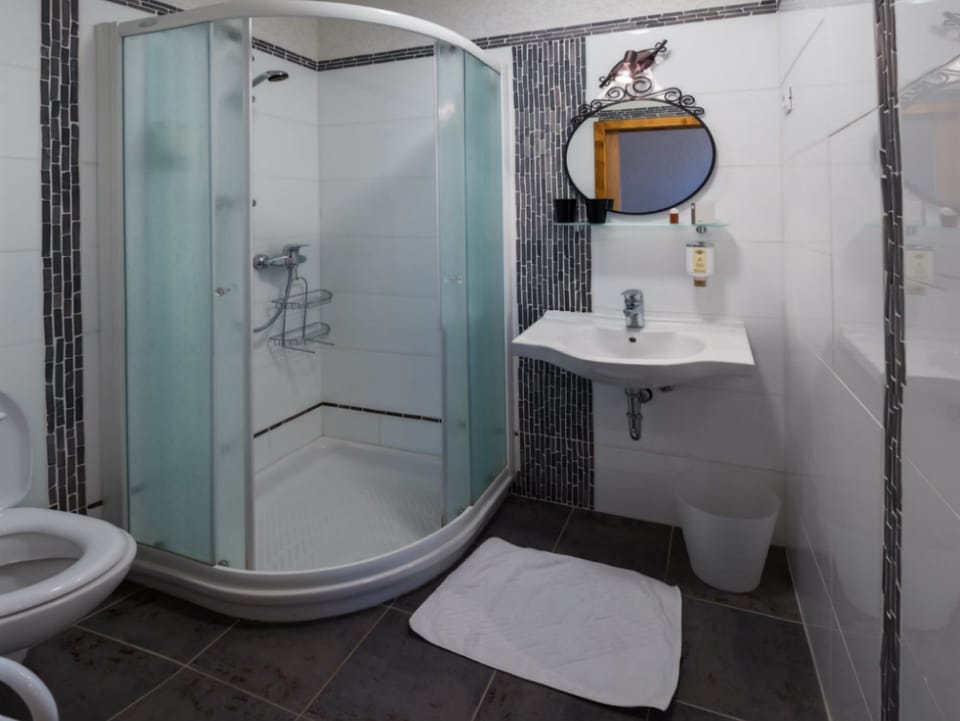 Standard Double Room | Bathroom | Shower, free toiletries, hair dryer, towels