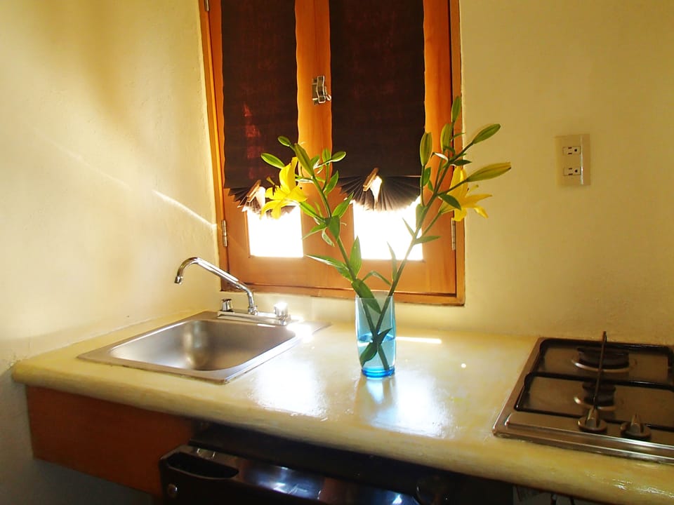Studio Apartment | Private kitchenette | Fridge, microwave, coffee/tea maker, toaster