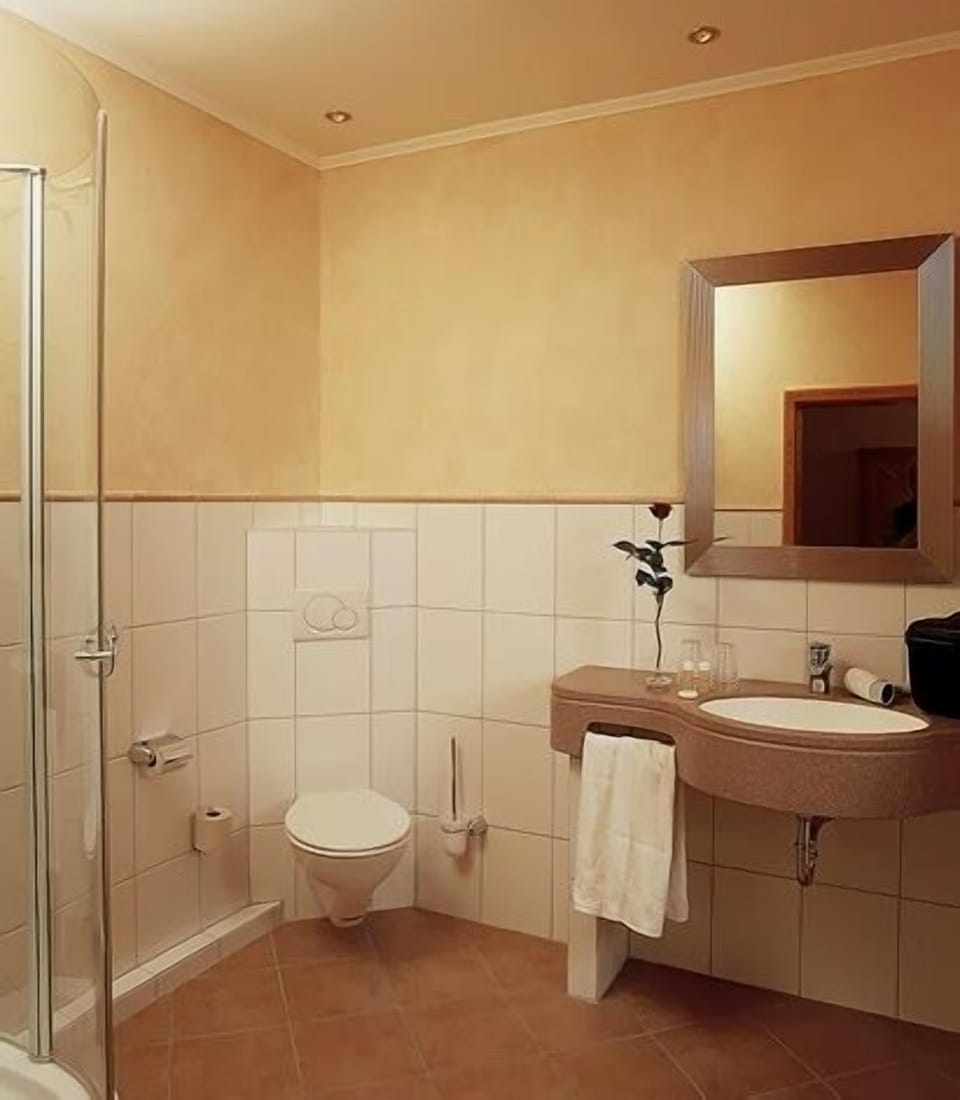 Shower, free toiletries, hair dryer, bathrobes
