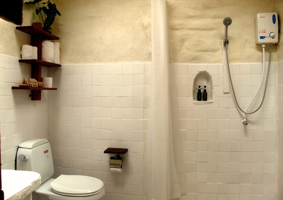 Shower, free toiletries, towels