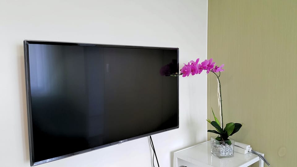 Television