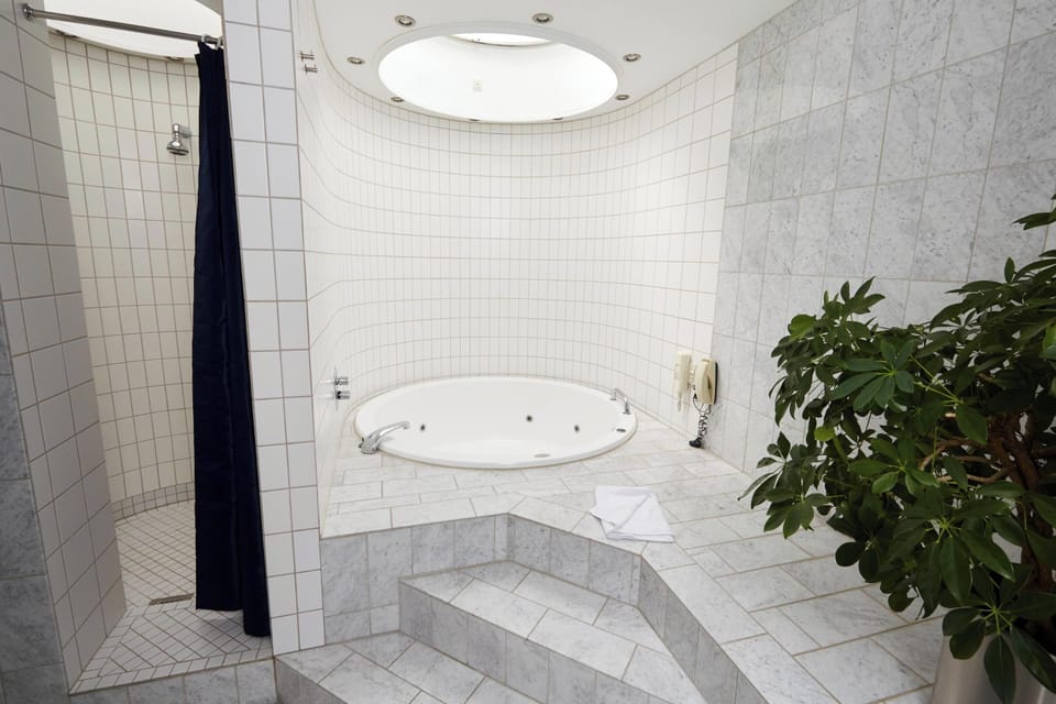 Suite | Bathroom | Shower, free toiletries, hair dryer, towels