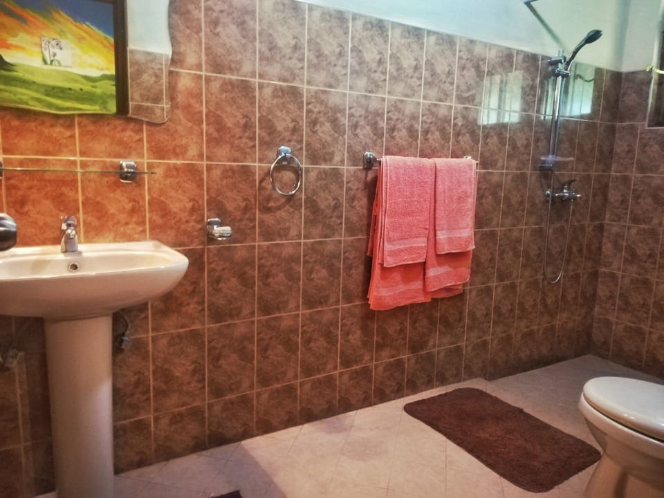 Deluxe Double or Twin Room, Balcony, Mountain View | Bathroom | Shower, free toiletries, hair dryer, slippers