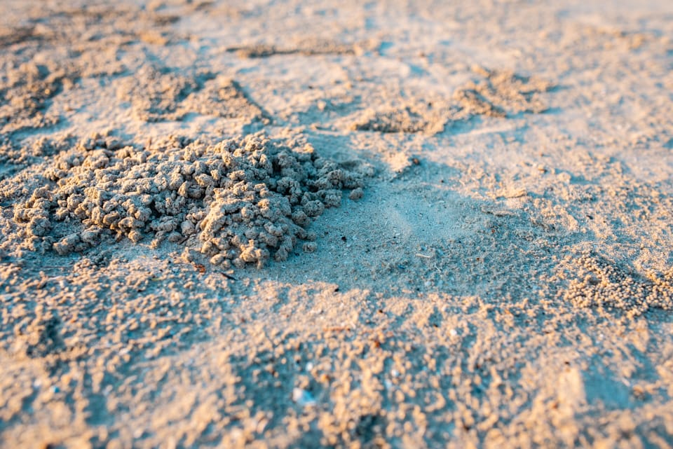 Private beach, white sand