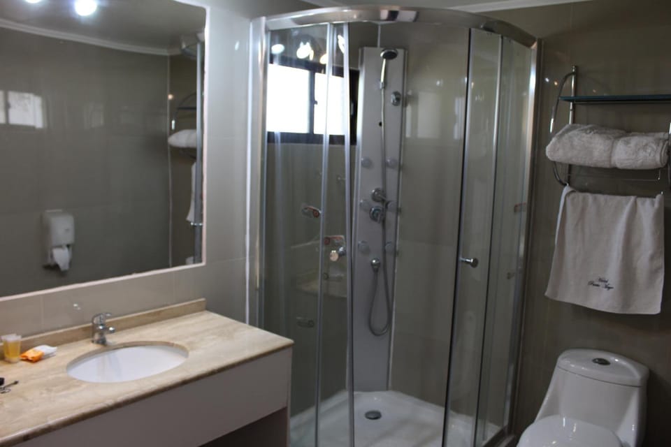 Free toiletries, hair dryer, towels