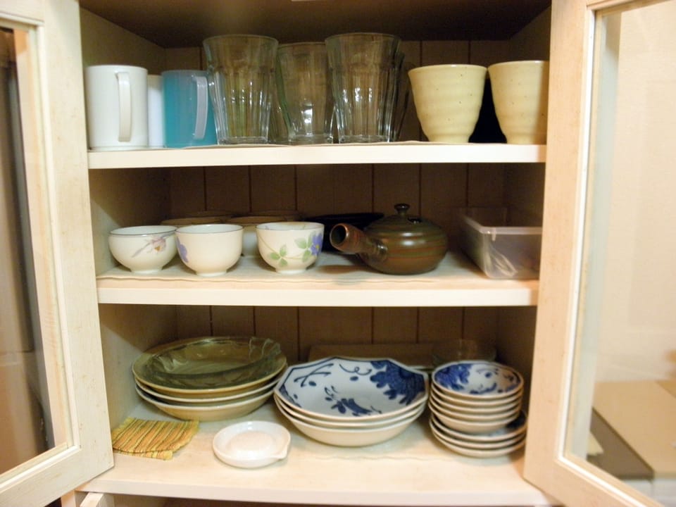 Apartment | Private kitchenette | Fridge, microwave, oven, stovetop