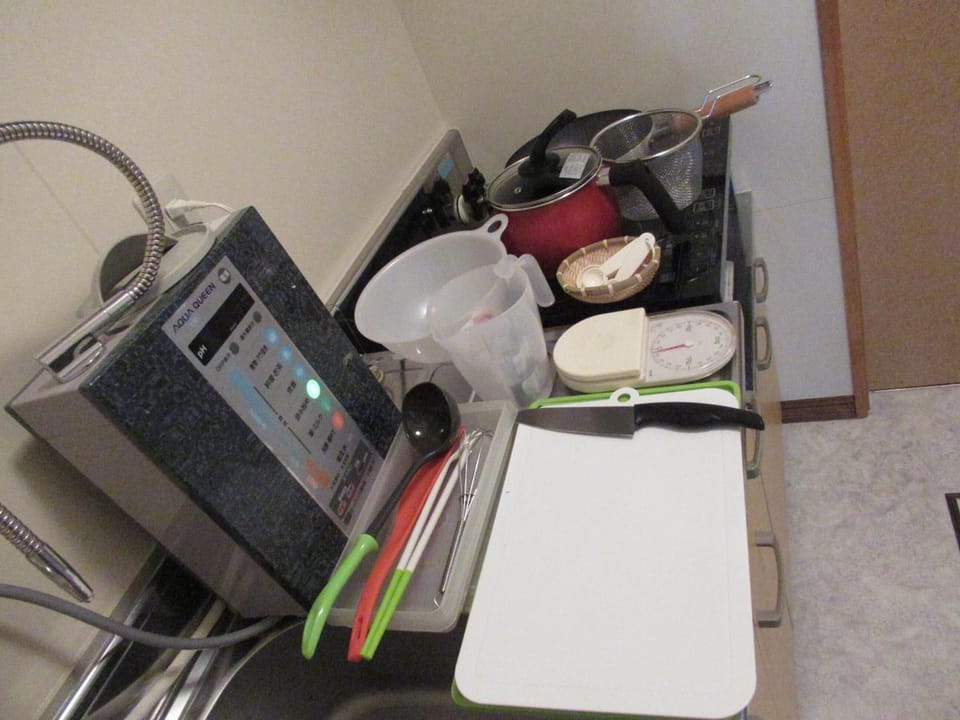 Apartment | Private kitchen | Fridge, microwave, oven, stovetop