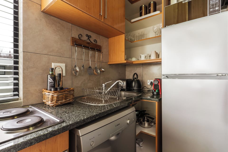 Standard Apartment | Private kitchen | Full-size fridge, microwave, oven, stovetop