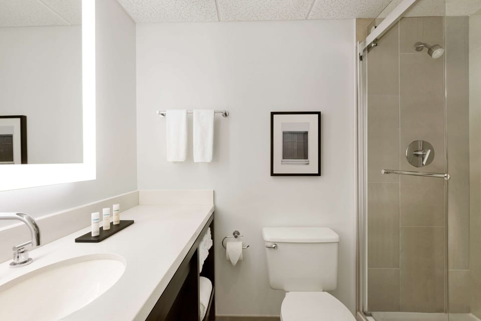 Bathroom shower