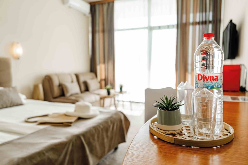 Standard Double Room, Sea View (Free Beach Package) | Minibar, desk, WiFi (free), bed sheets
