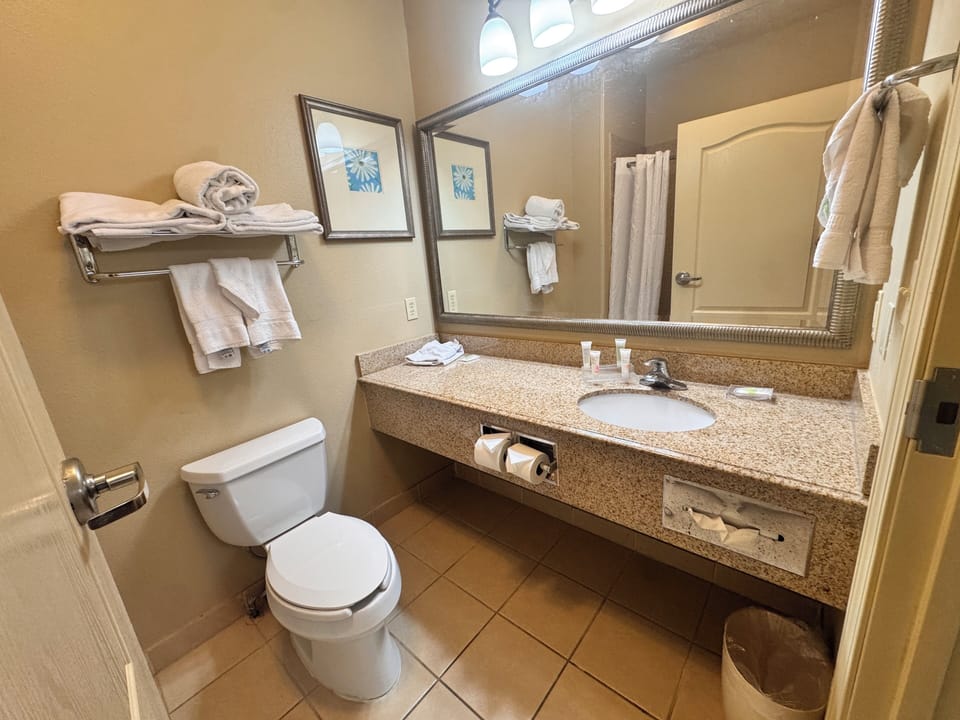 Suite, 1 King Bed with Sofa bed, Non Smoking | Bathroom | Free toiletries, hair dryer, towels