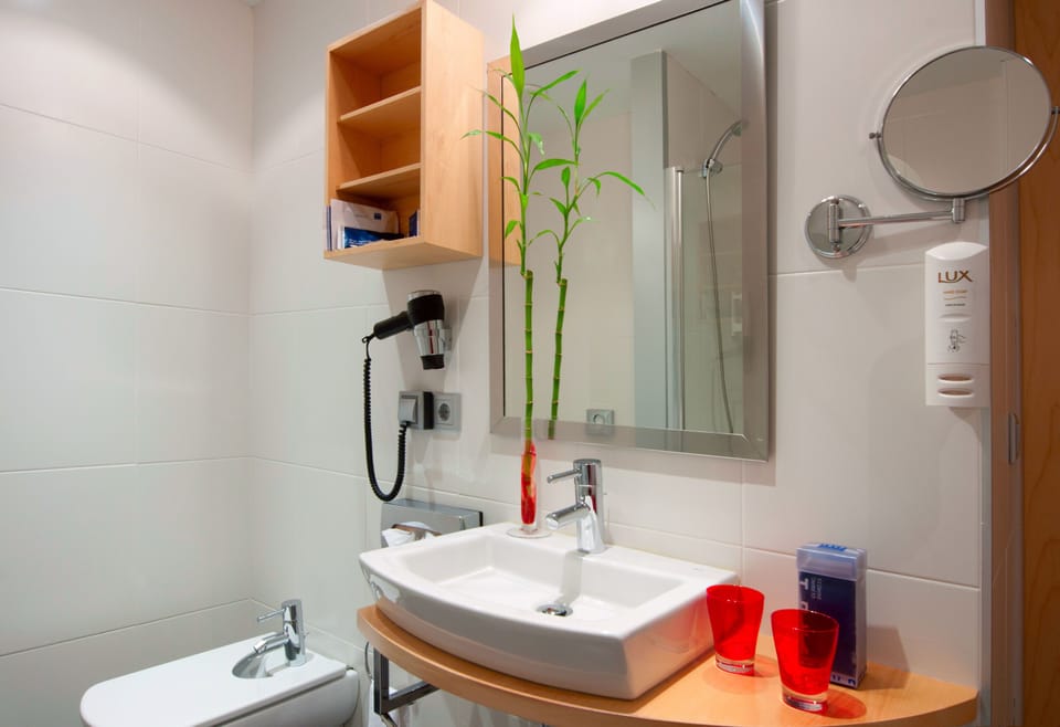 Hair dryer, bidet, towels, toilet paper