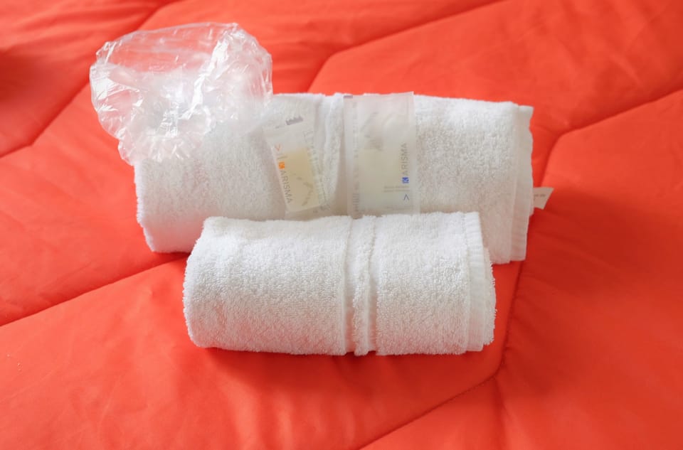 Standard Double or Twin Room | Desk, soundproofing, rollaway beds (surcharge), WiFi (free)